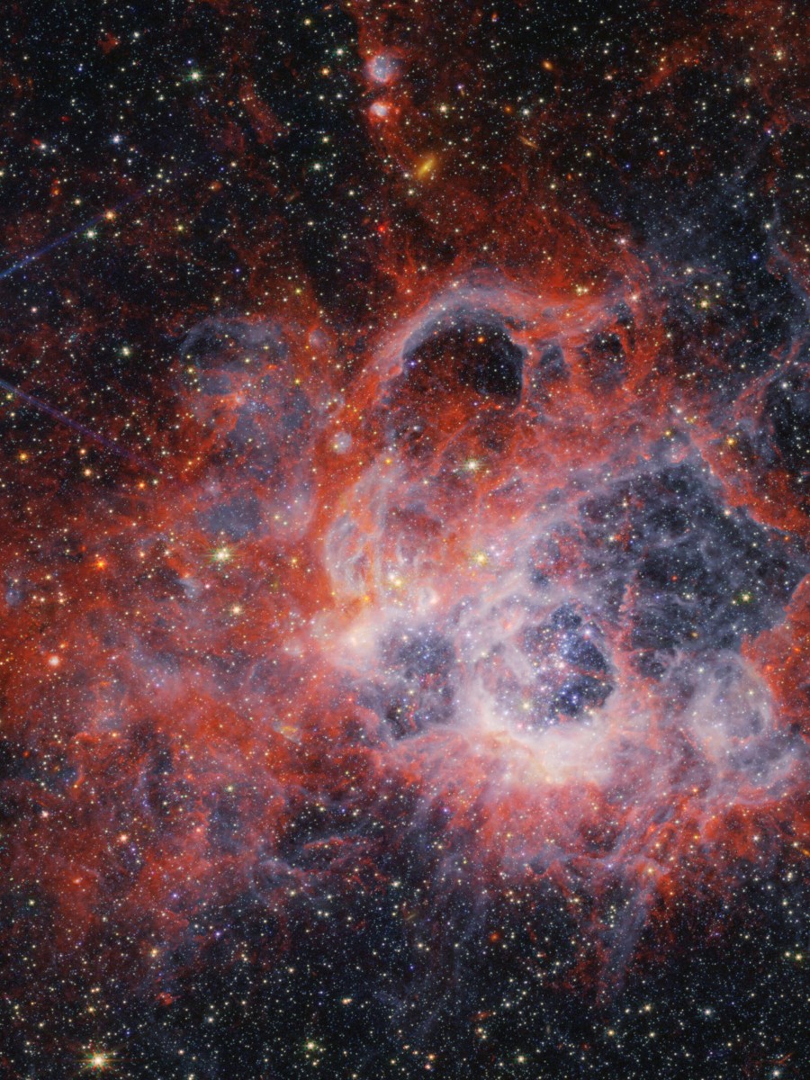 NGC 604: Una maraña única de gas, polvo y estrellas